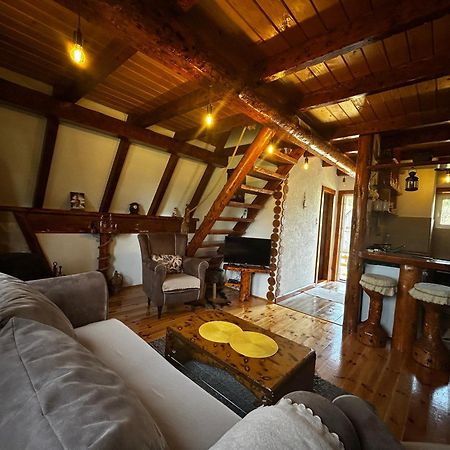 Vila Sarigora Zabljak  Ngoại thất bức ảnh