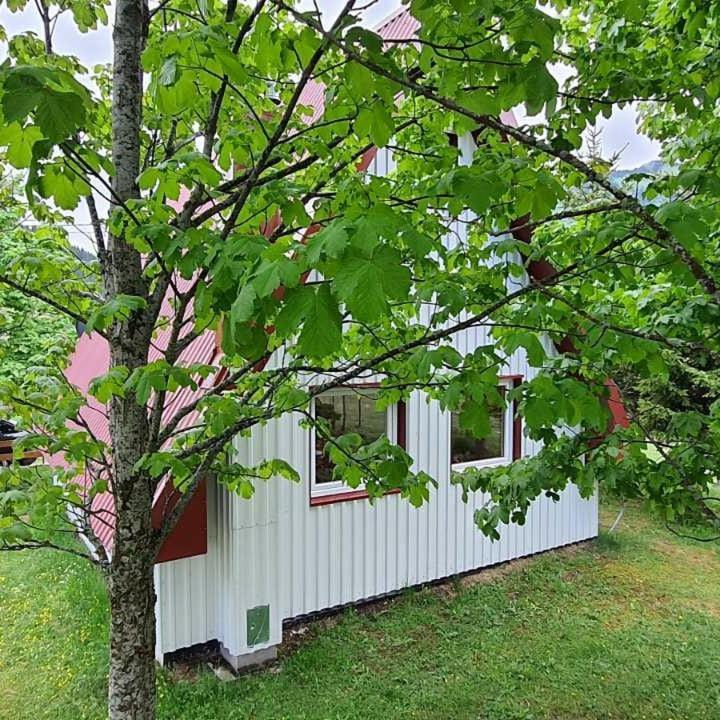 Vila Sarigora Zabljak  Ngoại thất bức ảnh