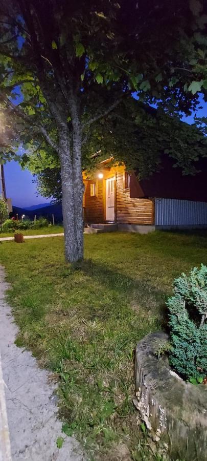 Vila Sarigora Zabljak  Ngoại thất bức ảnh
