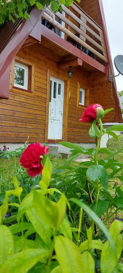 Vila Sarigora Zabljak  Ngoại thất bức ảnh